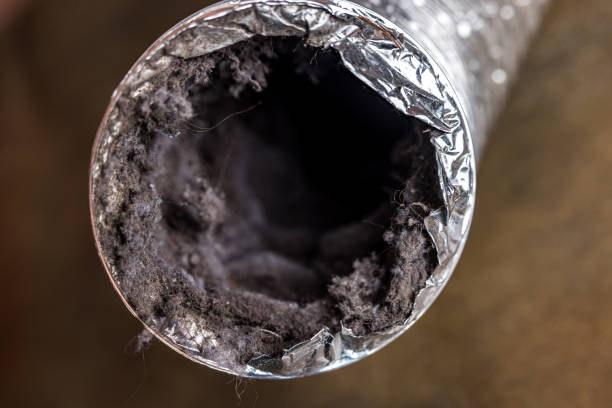 Best Affordable HVAC Duct Cleaning  in Lochmoor Waterway Estates, FL