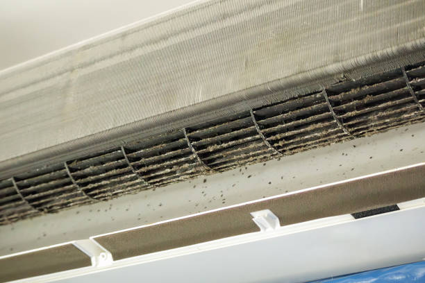 Best Air Duct Cleaning Near Me  in Lochmoor Waterway Estates, FL